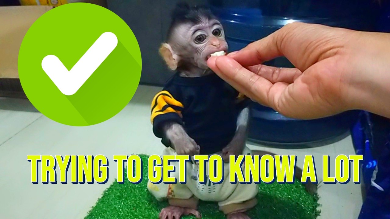 trying to get to know a lot #viral #trending #video #viralvideo #trendingvideo