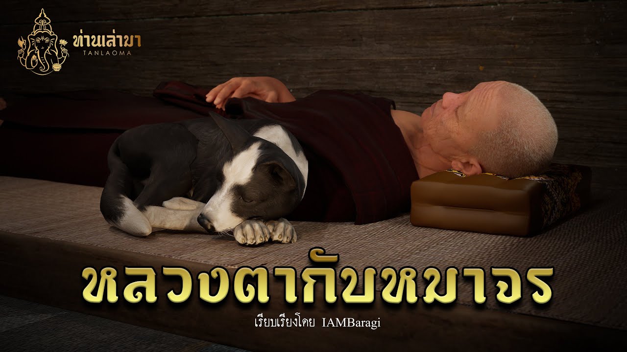 หลวงตากับหมาจร | ท่านเล่ามา 3D