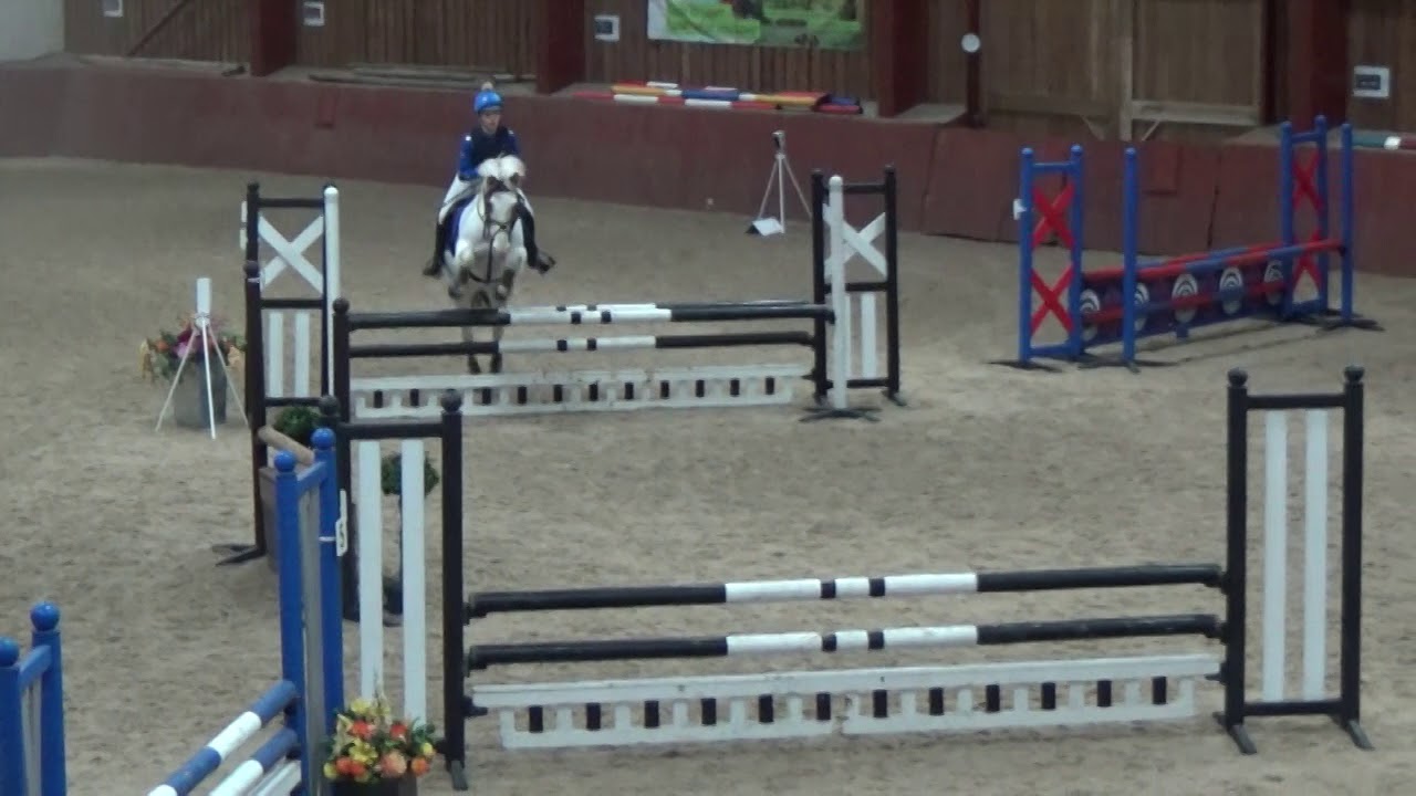 Henrik arena eventing @ Merrist Wood - 13.01.19