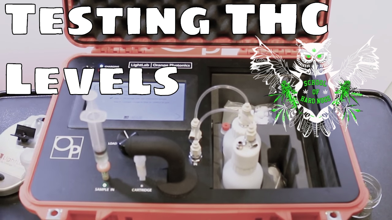 Testing THC Levels in Cannabis | Light Lab Cannabis Potency Analyzer Documentary