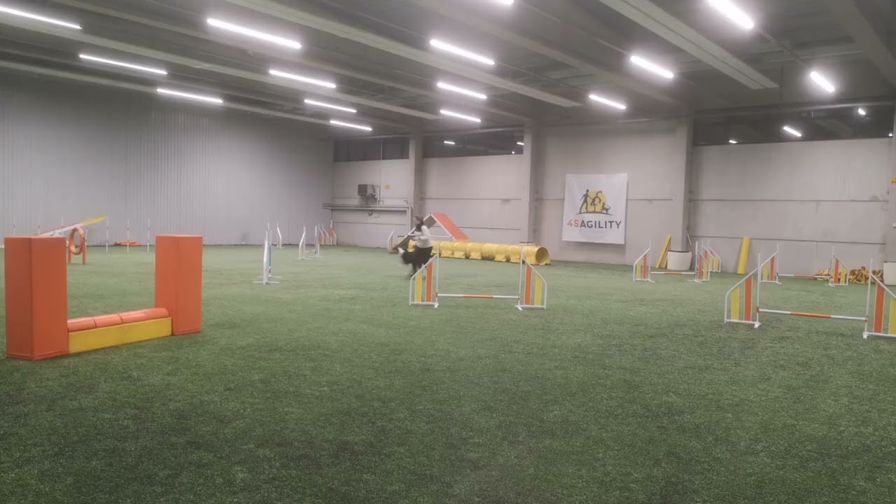 Dastro's agility training 16.3.2026