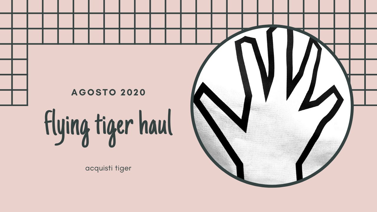 HAUL TIGER 2020~ acquisti cancelleria e non solo collezione di AGOSTO 2020