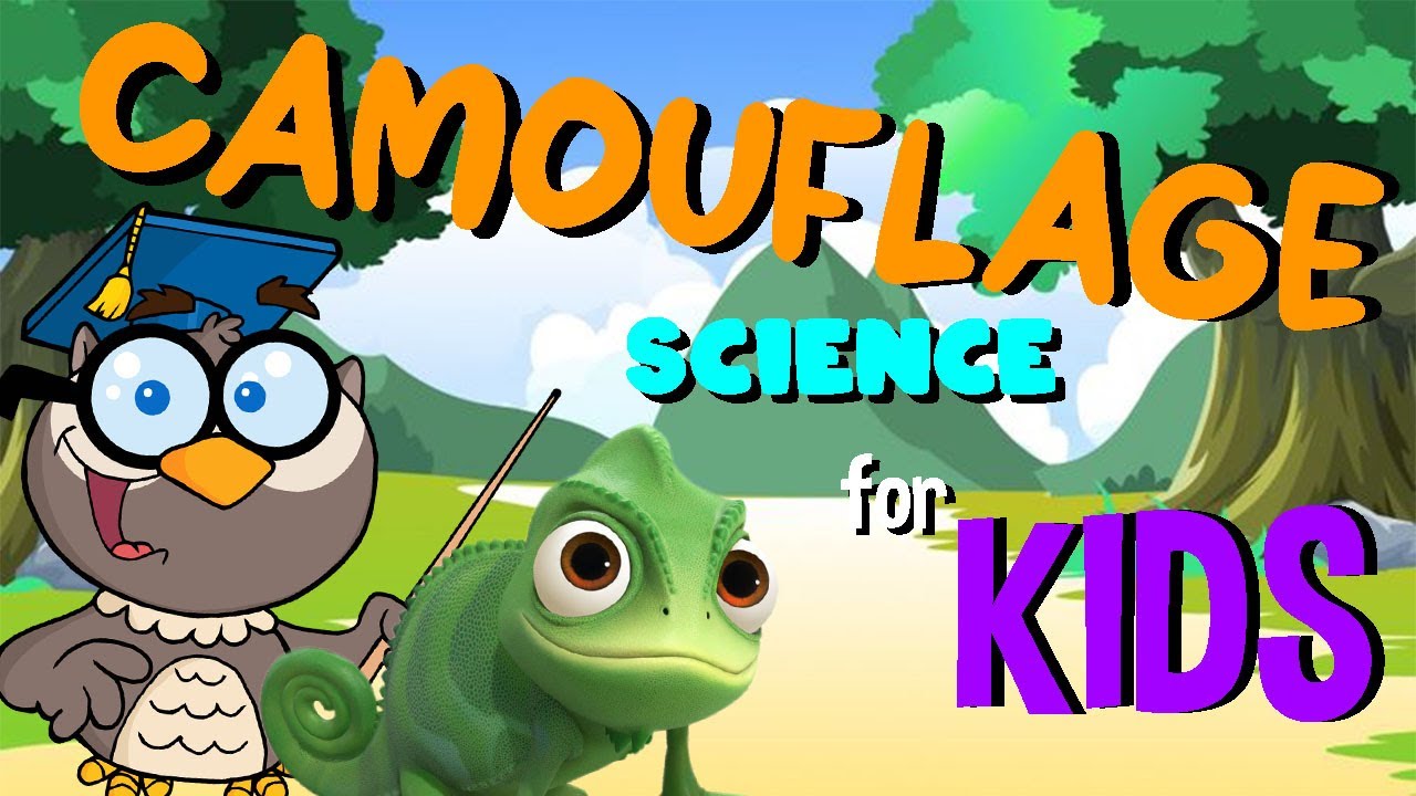 Camouflage | Science for Kids