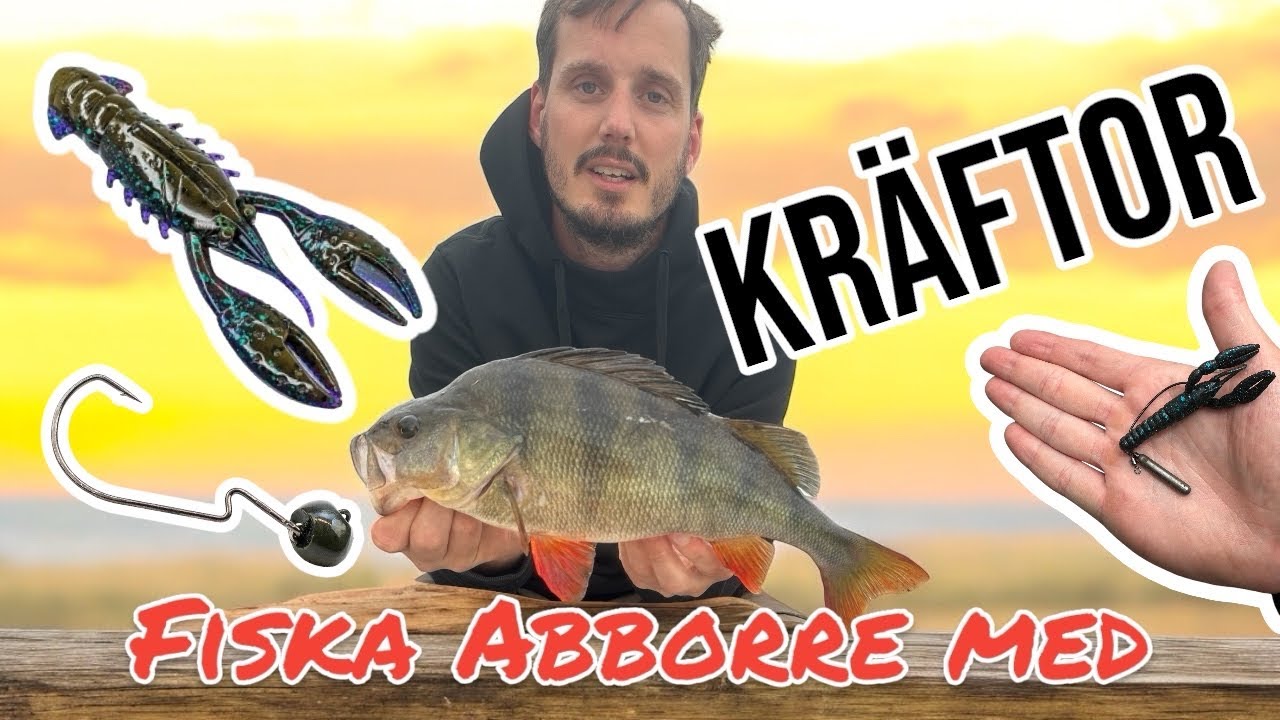 KRÄFTOR till ABBORRFISKE - OLIKA TEKNIKER & BETEN