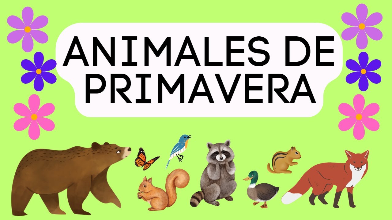 ANIMALES DE PRIMAVERA - VIDEO EDUCATIVO para niños/as