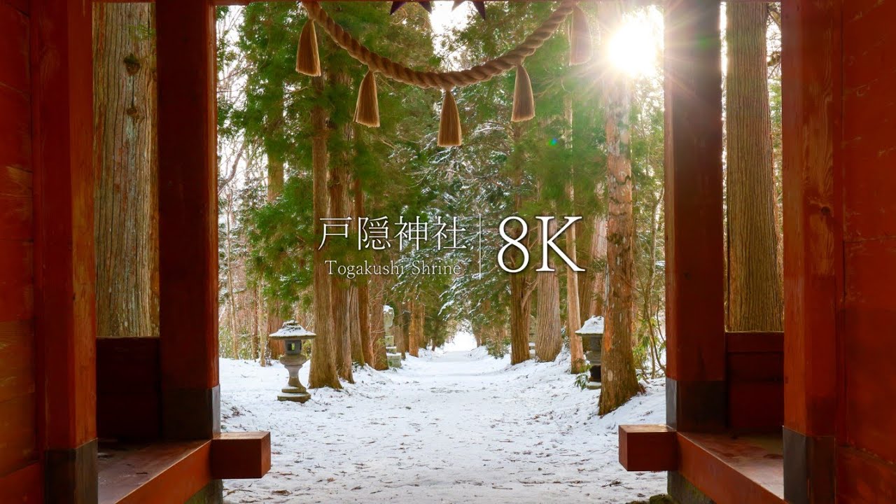 【長野最強のパワースポット】戸隠神社の雪景色 - Japan in 8K