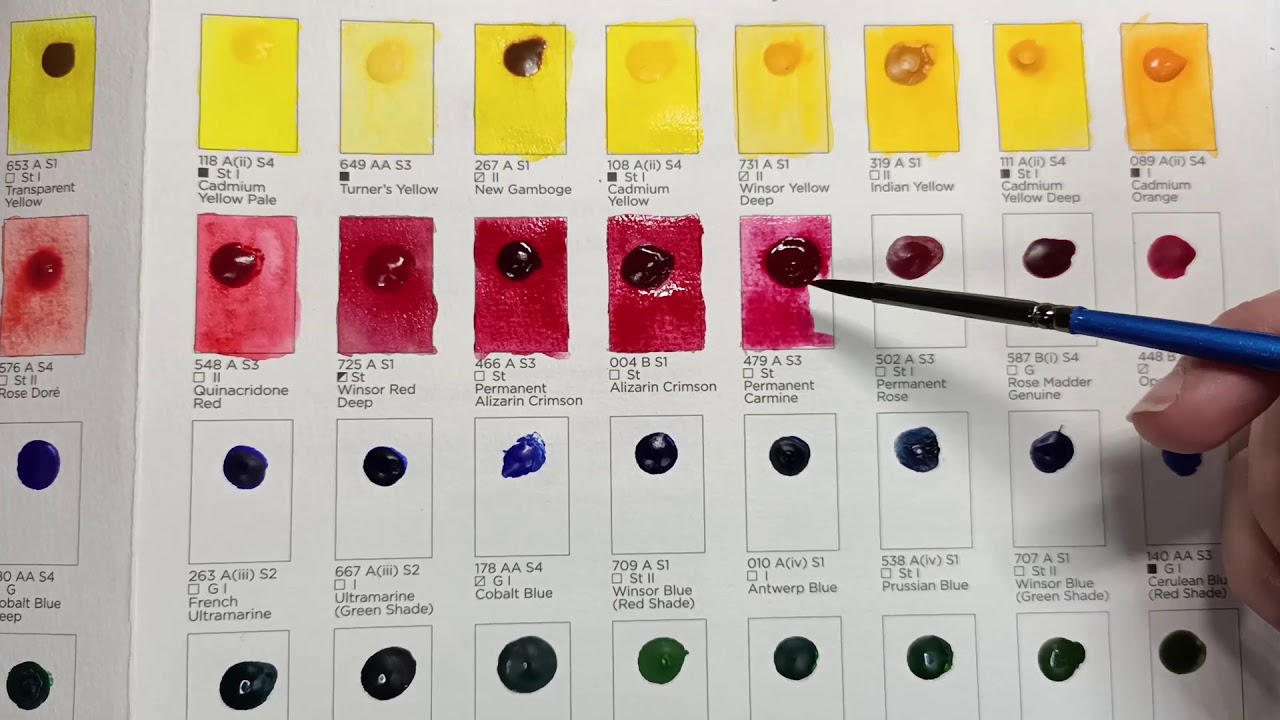 Swatching Winsor & Newton's Professional Watercolour Hand Painted Colour Palette Dot Chart!