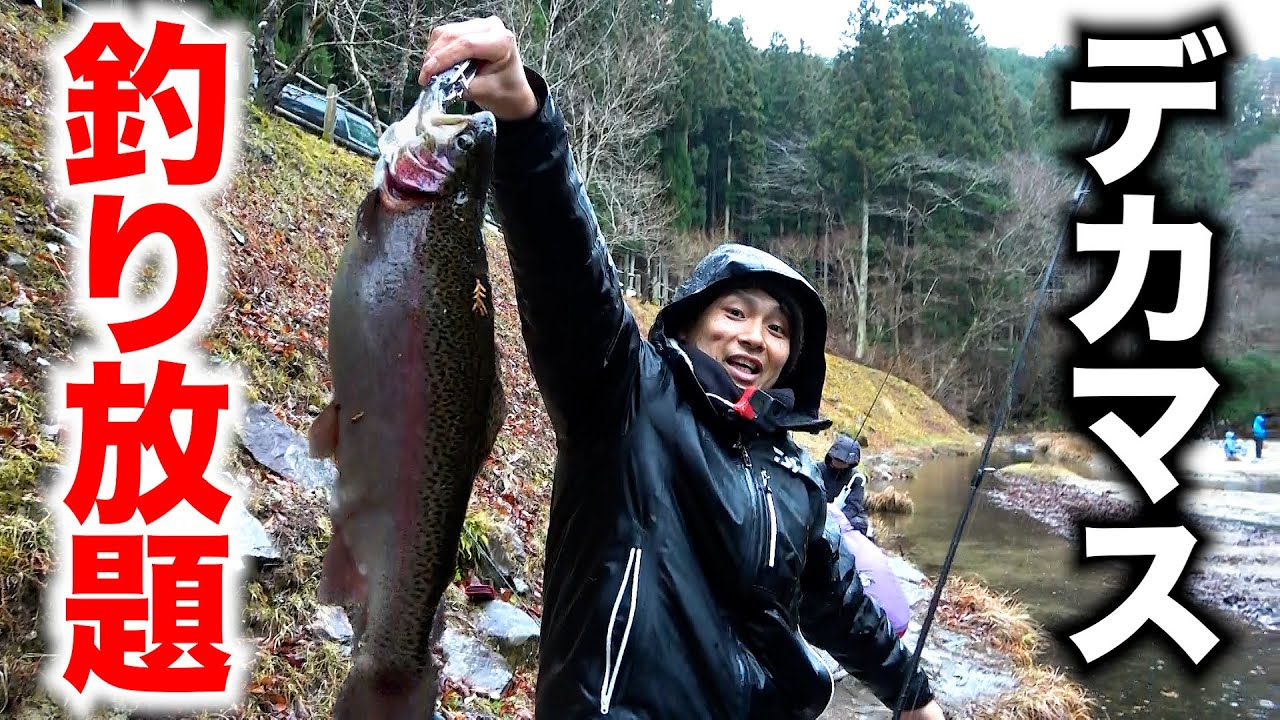 1日4000円でデカマスのみ釣り放題の神釣り堀で本気で釣りしたら！？