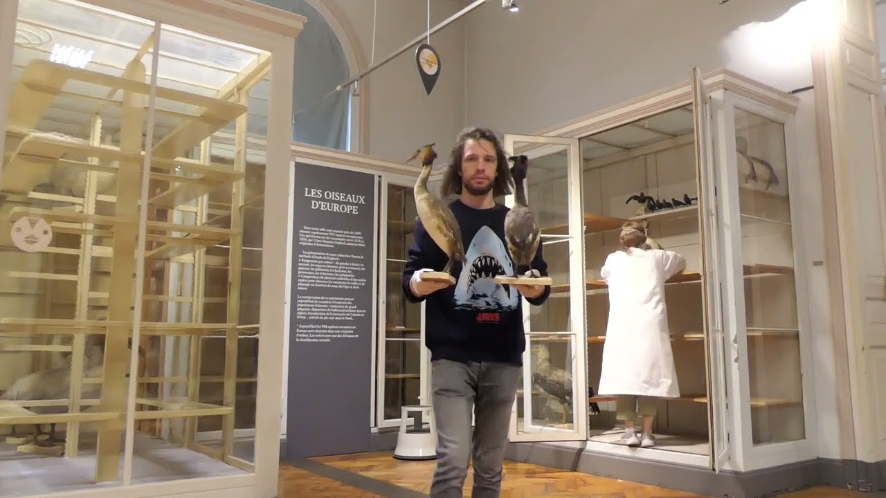 Timelapse - Déménagement des oiseaux de la salle Degland