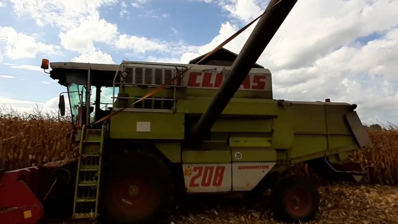 Kukorica aratás 2020.