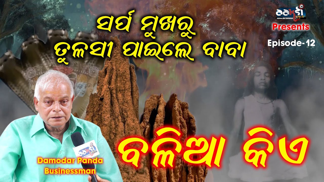 Episode-12 /// ସର୍ପ ମୁଖରୁ ତୁଳସୀ ପାଇଲେ ବାବା  /// ବଳିଆ କିଏ ? // Balia Kie ? /// Damodar Panda