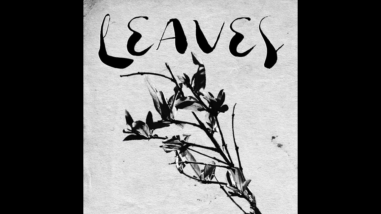 Leaves (feat. Zeru) - Jaesun (Lyric Video)
