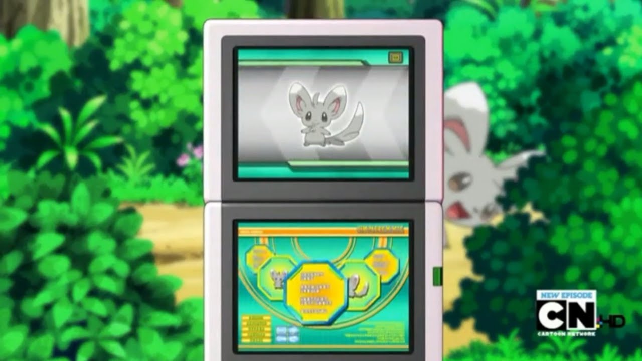 Minccino Pok&eacute;dex Entry..wmv
