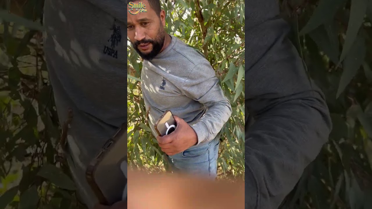 الغولة مانخافش منها مسكين طلع فوق شجرة تخبا