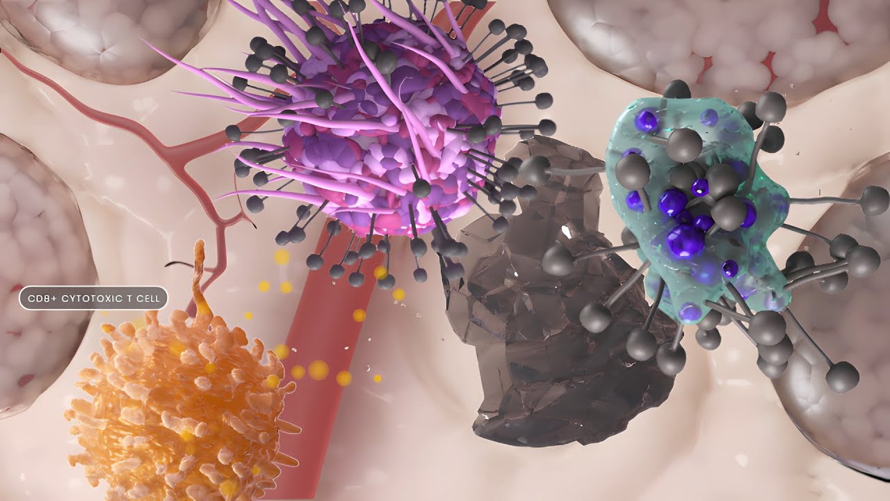 From Smallpox to Cancer: How Vaccinia Viruses Are Revolutionizing Vaccine Development