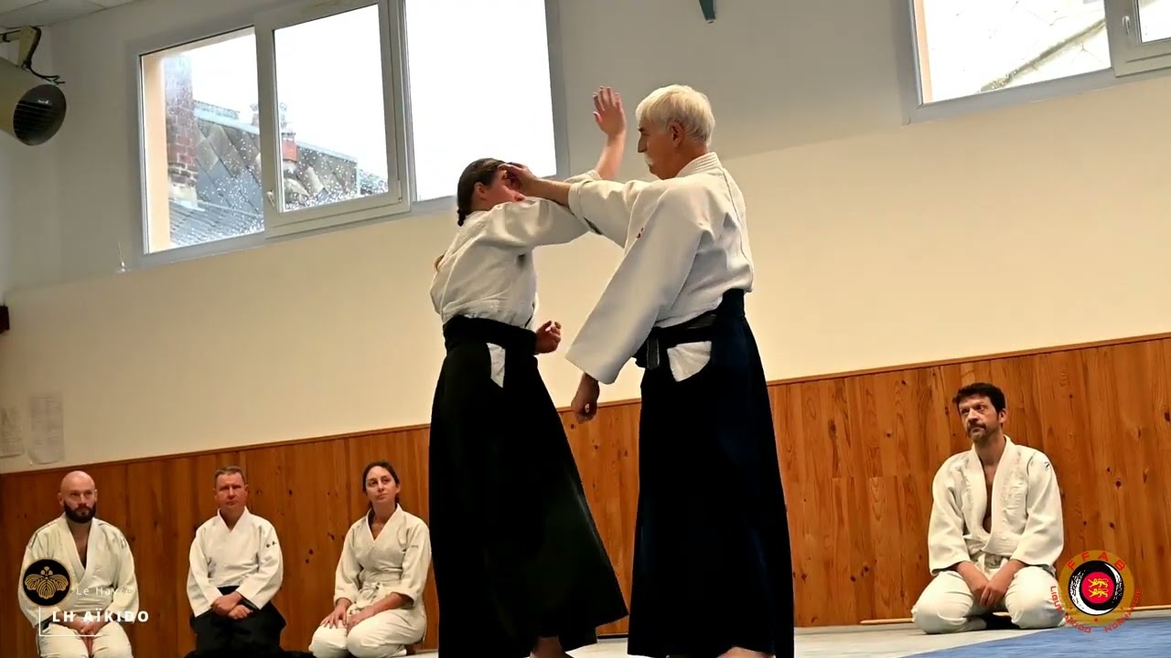 Aïkido : Jean Marc Chamot 7ème dan au Dojo VDB  (décembre 2023 1ère partie)