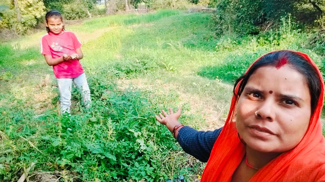 Hamare khet ka vlog hamne Kaya toda