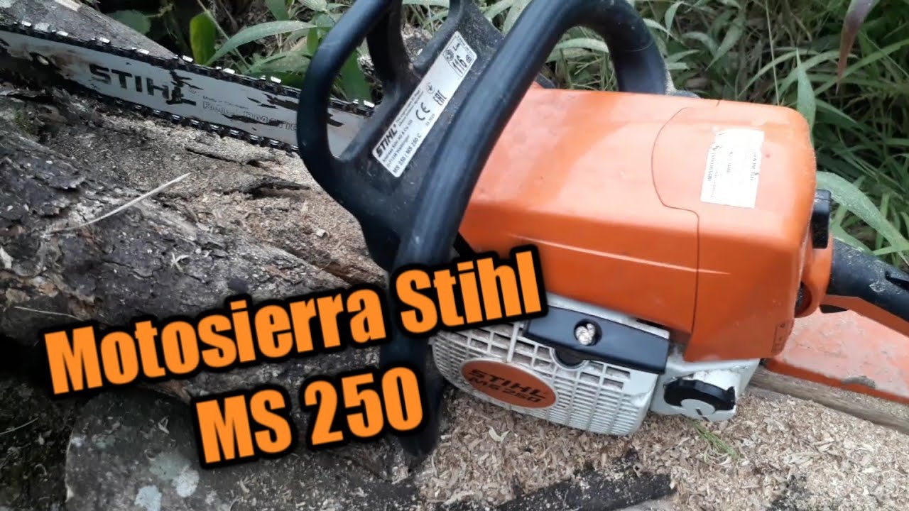 STIHL MS 250 | *cortando arboles* | LOREN 15YT