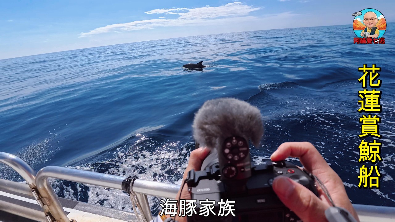 海豚家族超萌現身！清水斷崖外海追蹤「瓶鼻海豚」、奇萊鼻燈塔迎接太平洋日出｜花蓮兩天一夜深度遊