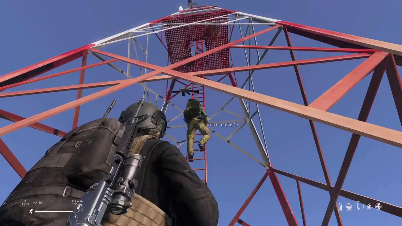 DayZ