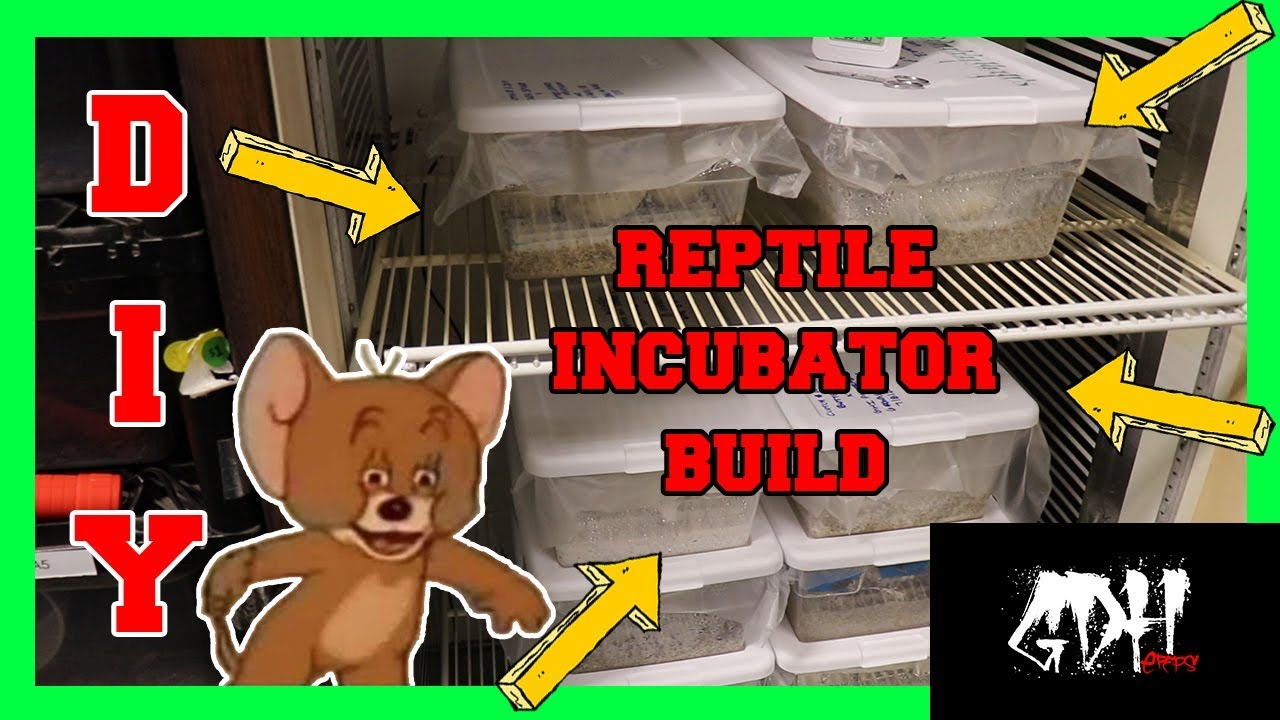HOW TO BUILD A BALL PYTHON INCUBATOR