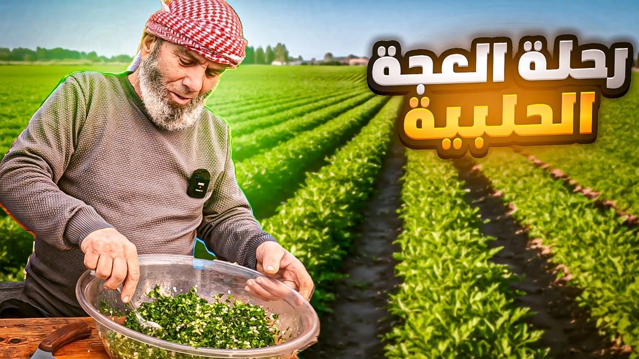  من الزراعة للمطبخ رحلة العجة الحلبية على اصوله 