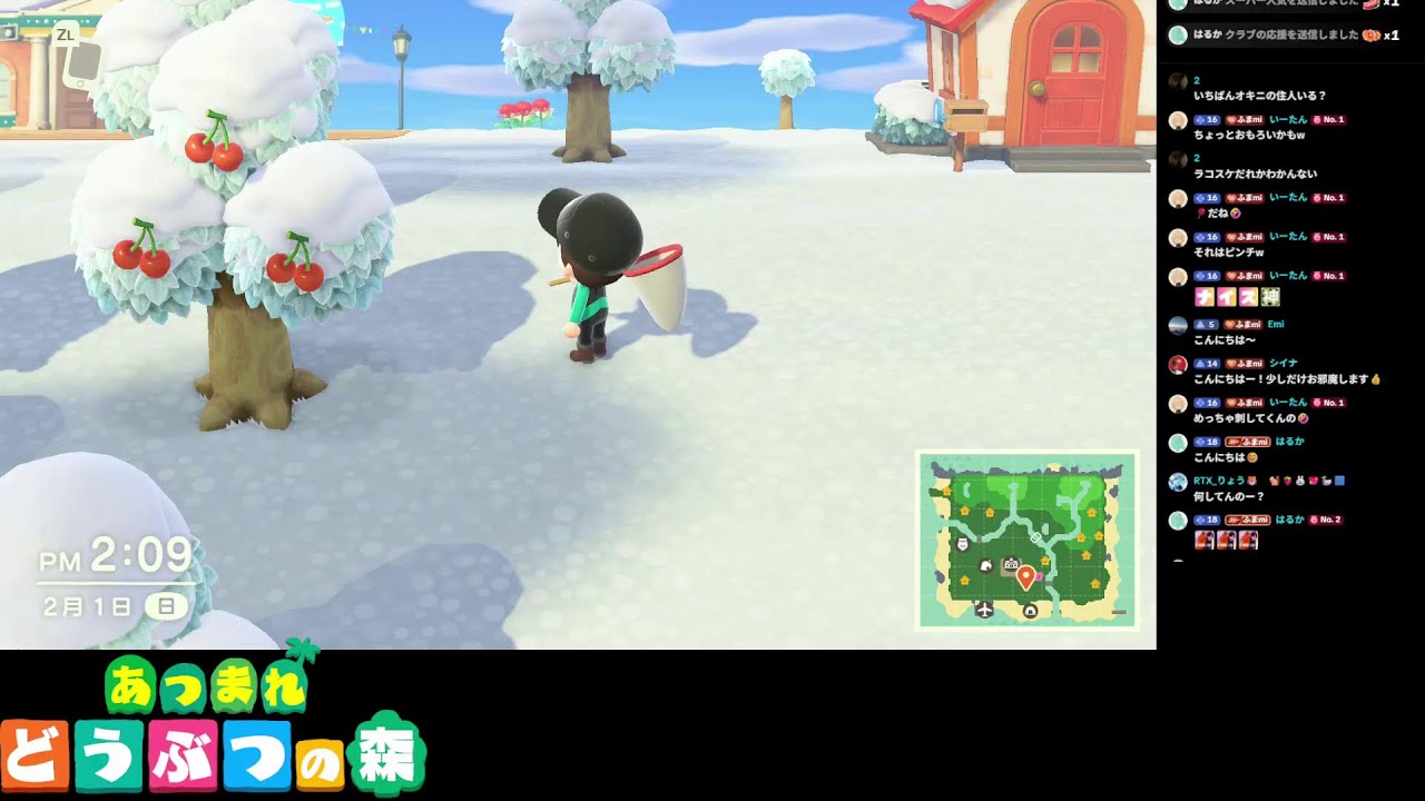 どうぶつの森11