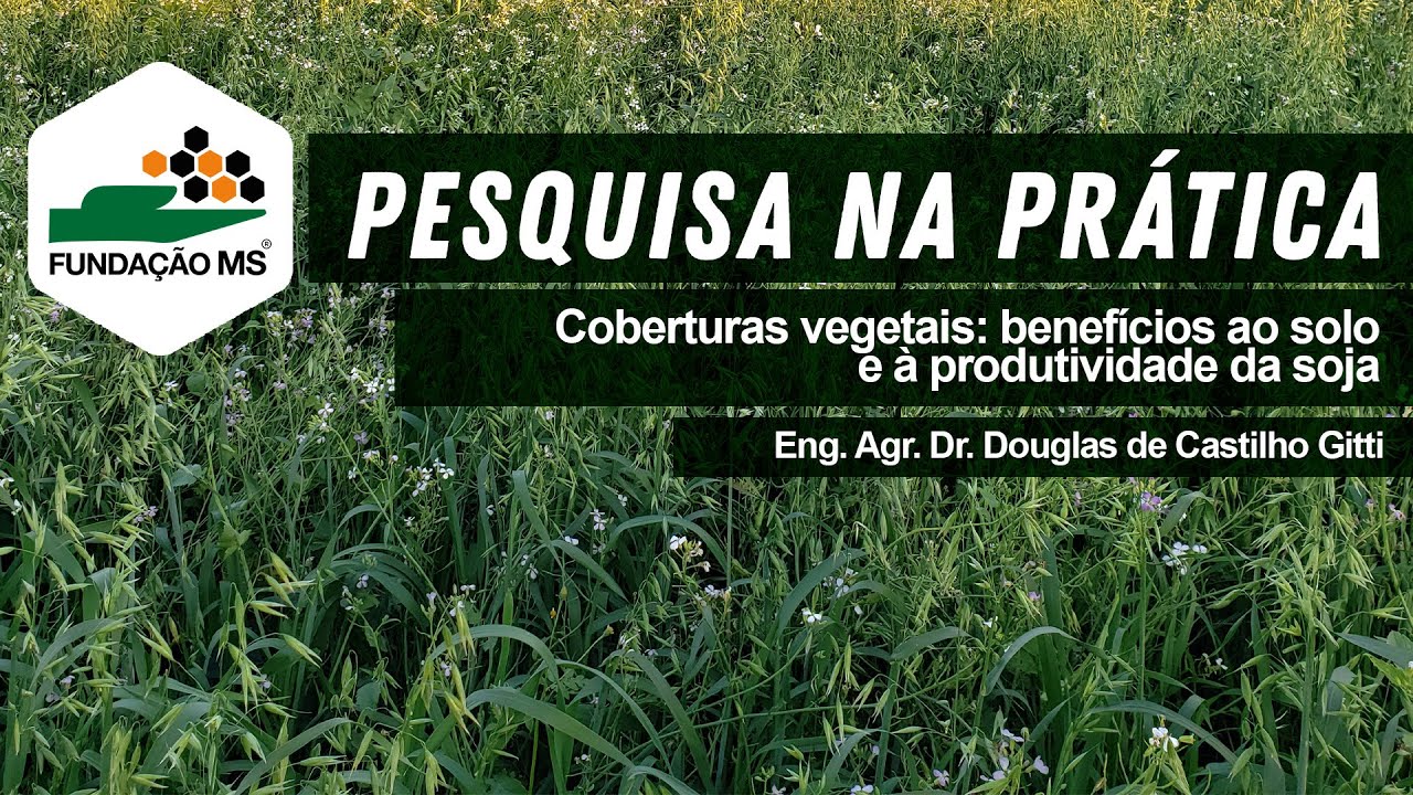 Pesquisa na Prática: Coberturas Vegetais: benefícios ao solo e à produtividade da soja