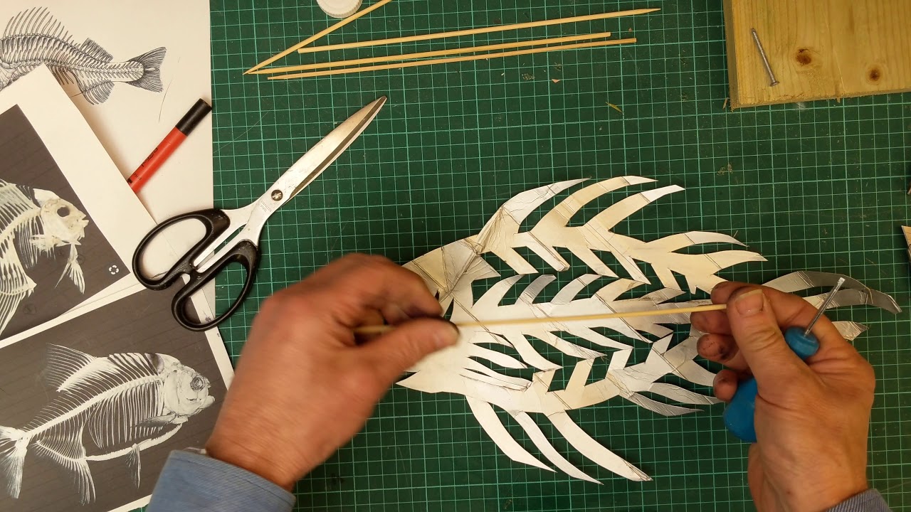 Tetra Fish Skeleton How To