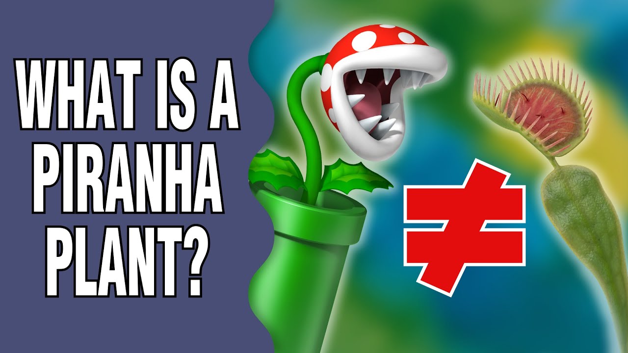 What IS a Piranha plant?
