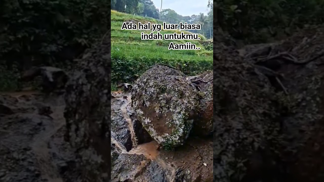 #quotes