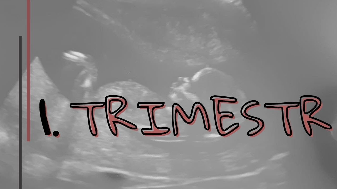 MOJE TĚHOTENSTVÍ | 1. TRIMESTR | Rizikové těhotenství a nevolnosti
