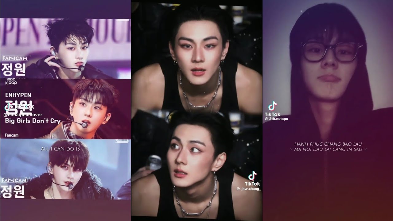 #2 TỔNG HỢP TIKTOK JUNGWON ENHYPEN 🐱˚⋆𐙚｡ 𖦹.ᡣ𐭩˚