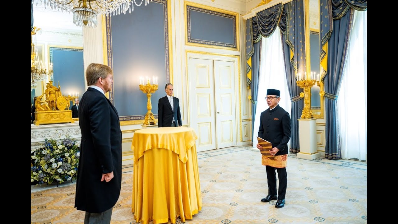 Ambassador Mayerfas presenting Credential Letters to HM. King Willem-Alexander (25/11/2020)