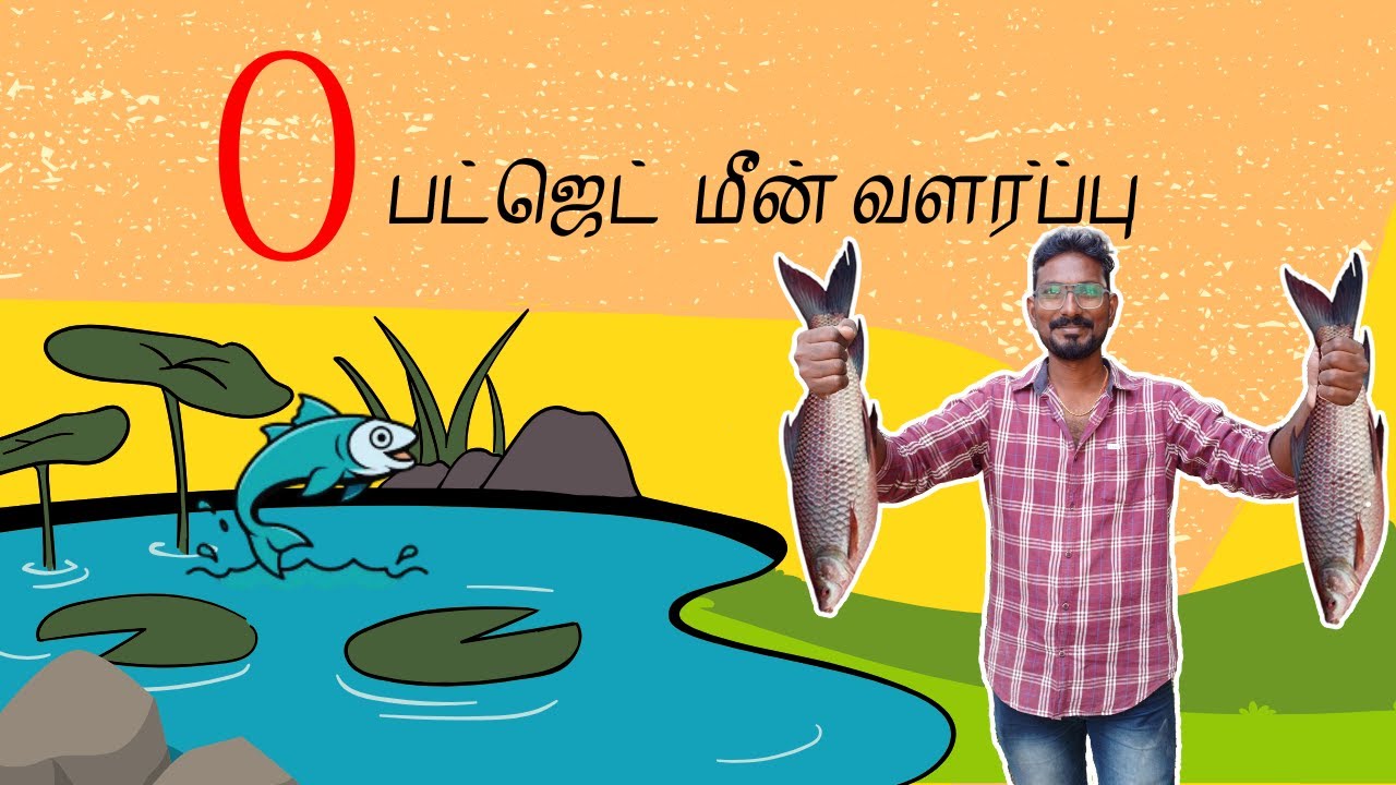 மீன் வளர்ப்பு அடிப்படை விஷயங்கள்|basics of fish farming|tamil|saisiddharthintegratedfarming