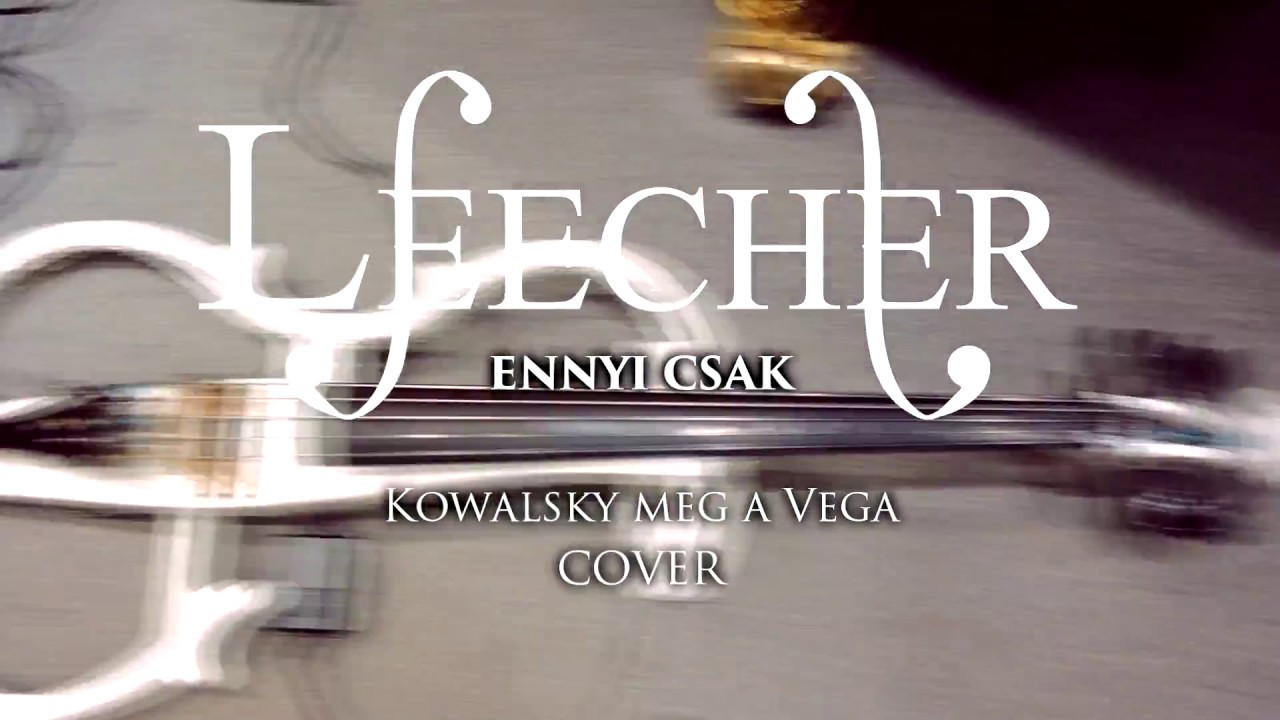 Leecher feat. Bokodi Bálint - Ennyi Csak (Kowalsky meg a Vega cover)