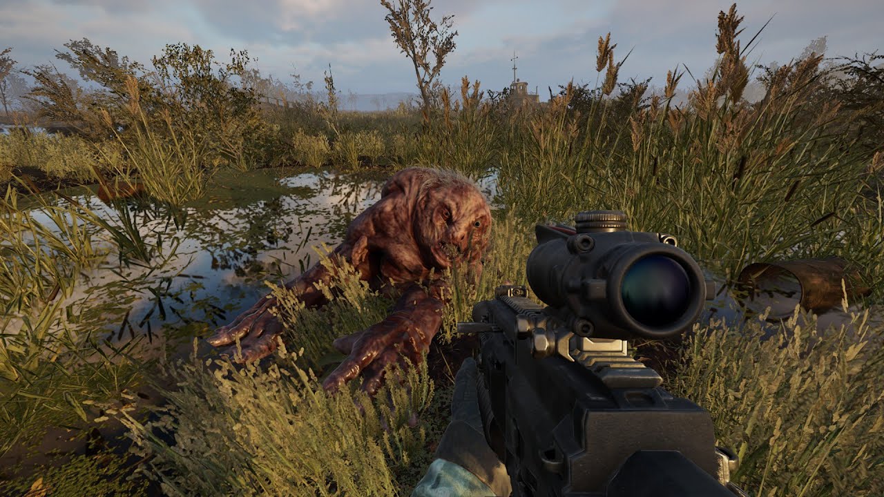 The main mutant of the Zone has been defeated