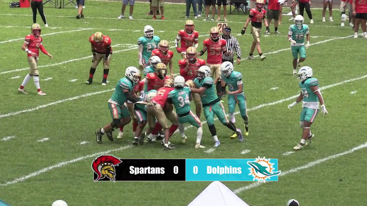AA Campeonato Spartans Vs Dolphins Peewee Football Puerto Rico