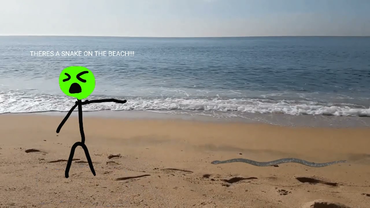 Nico Staf - Snake on the Beach (Slowed + Reverb)