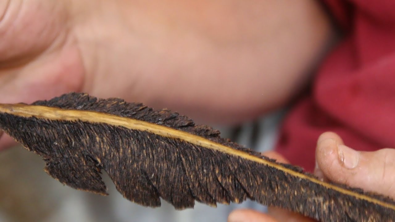 Carving an Eagle Feather in Basswood