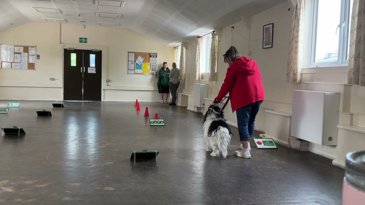 Sunday 8th June 2025 - Level 1 Rally Competition - Neo and Mandy