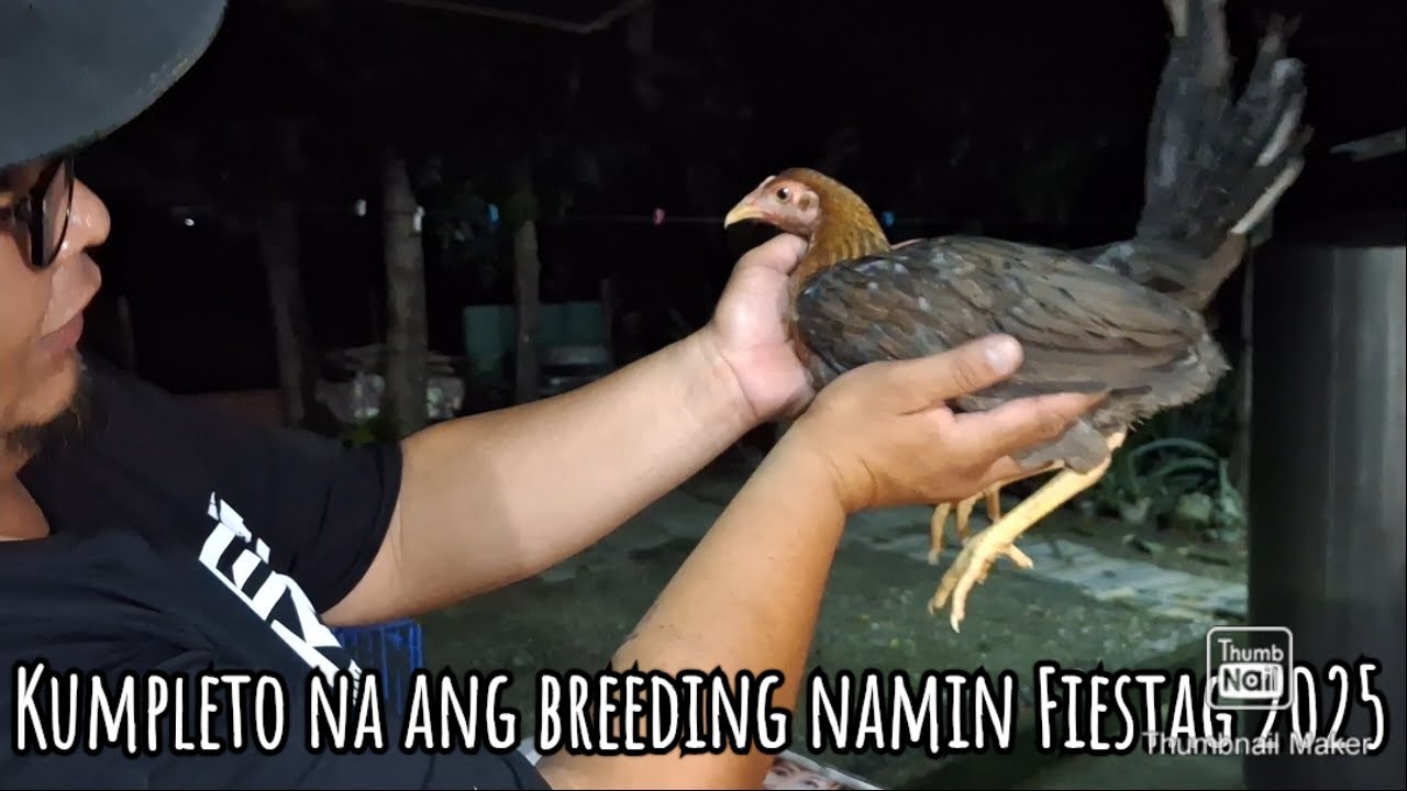 Kumpleto na ang aking Bulik Family