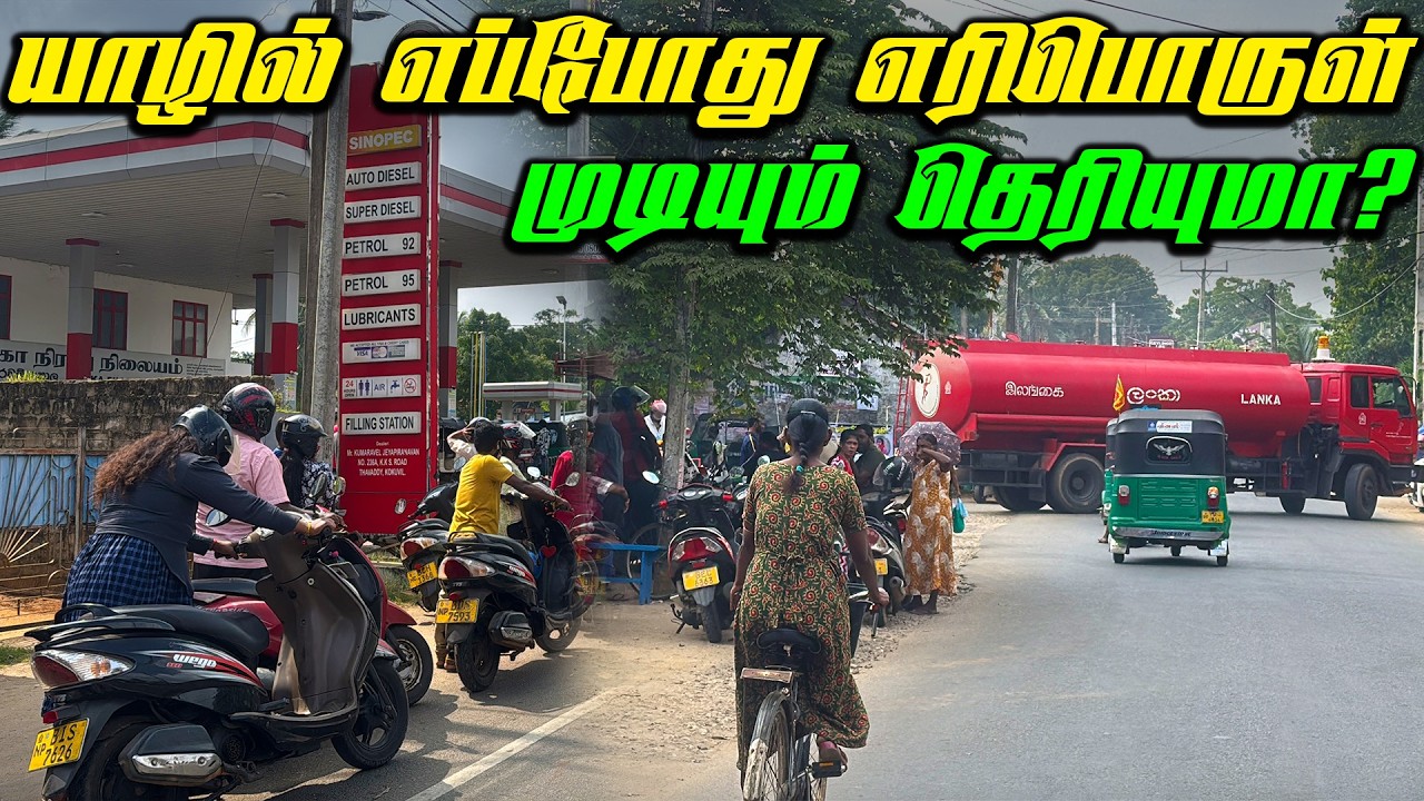 🔴 யாழில் தற்போதைய எரிபொருள் நிலைமை 😢 | Jaffna Petrol Problem | Jaffna Thanush