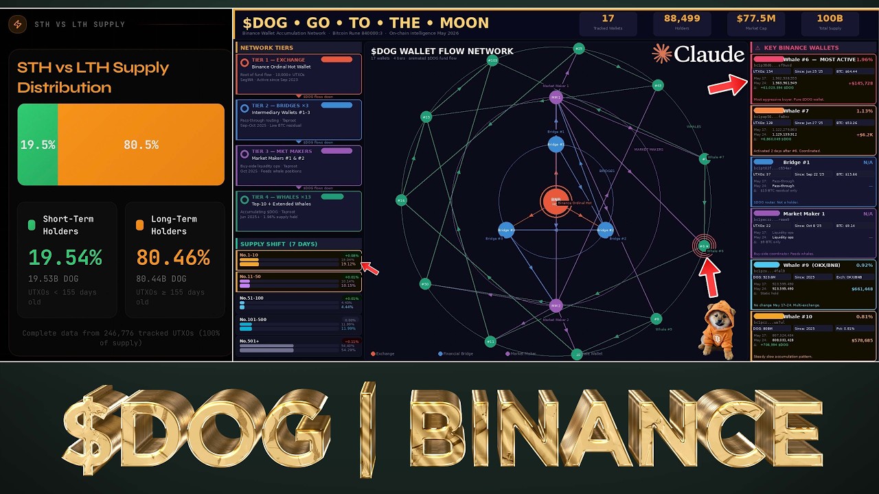 🚨CLAUDE CONFIRMS - #BINANCE ACCUMULATED $DOG PAST 7 DAYS 🤯