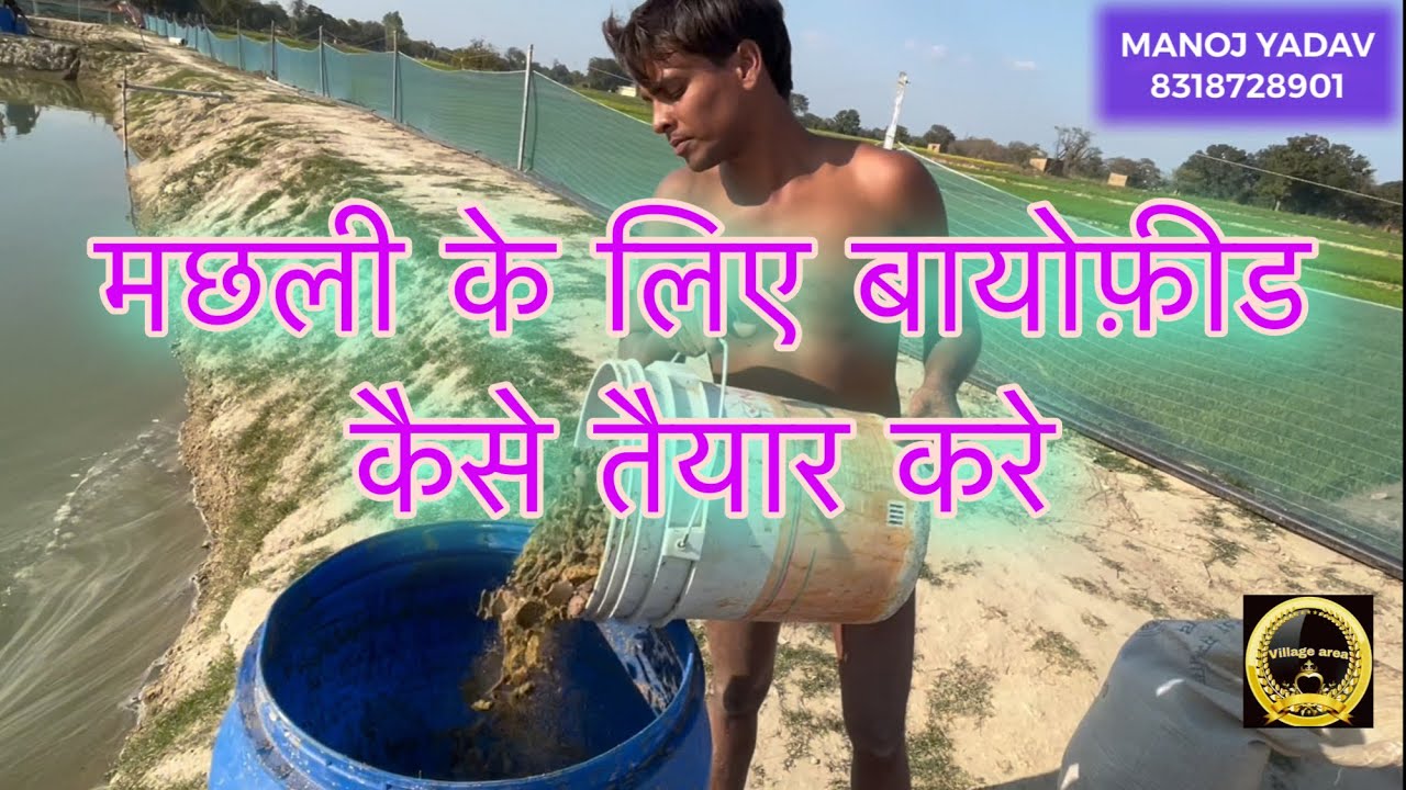 मछली के लिए बायोफ़ीड कैसे तैयार किया जाता है ! इसके फ़ायदे के बारे में !