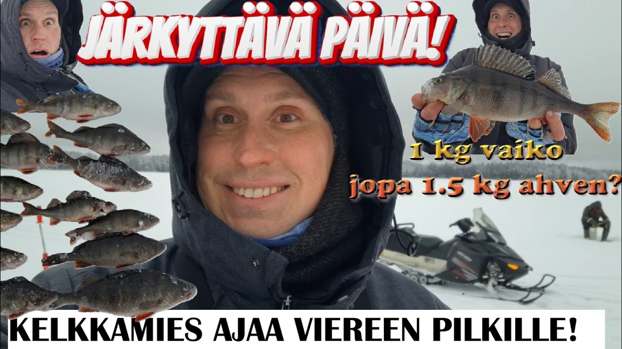 ‼️PILKILLÄ OSA 22:✨️ HIRVITTÄVÄ AHVEN ILMESTYY!!! | Nouseeko se 1.5 kg ahven uudeksi enkaksi???