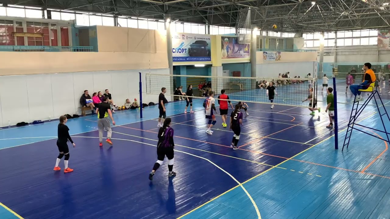 Ёжики - Коряги