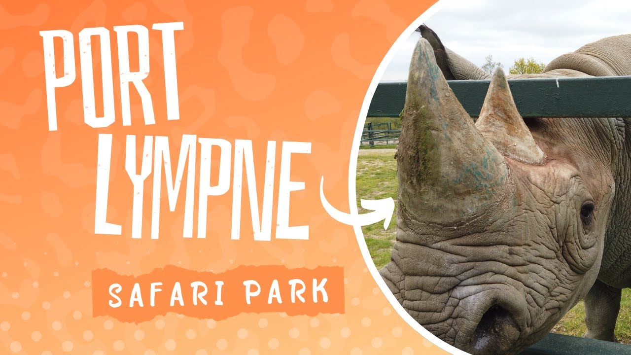 UK Staycation - Port Lympne Safari Park