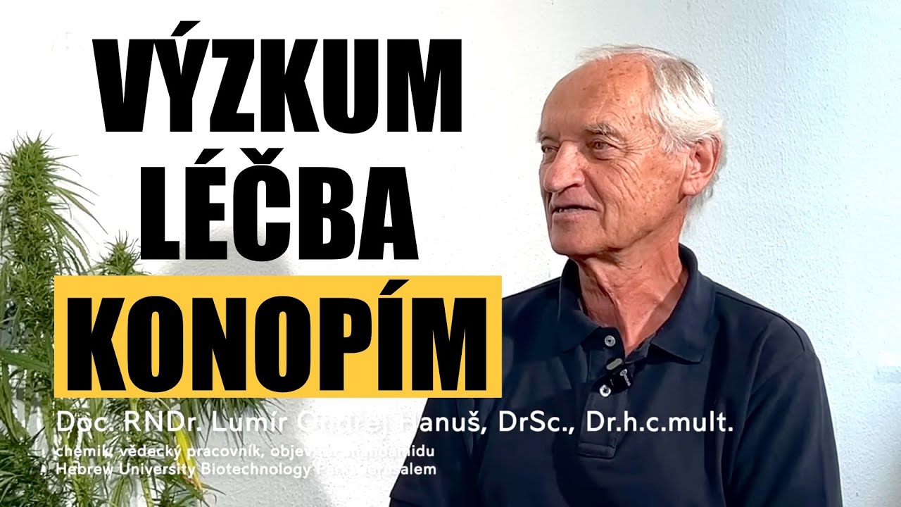 Syst&eacute;m zdravotnictv&iacute;, zdrav&iacute; a legalizace konop&iacute; 🇨🇿 Lum&iacute;r Hanu&scaron; 🇮🇱 v&yacute;zkum konop&iacute; 