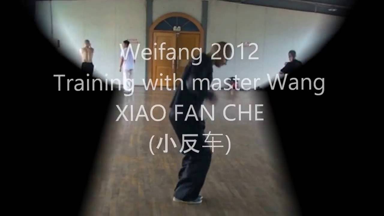 Weifang 2012 Fanche